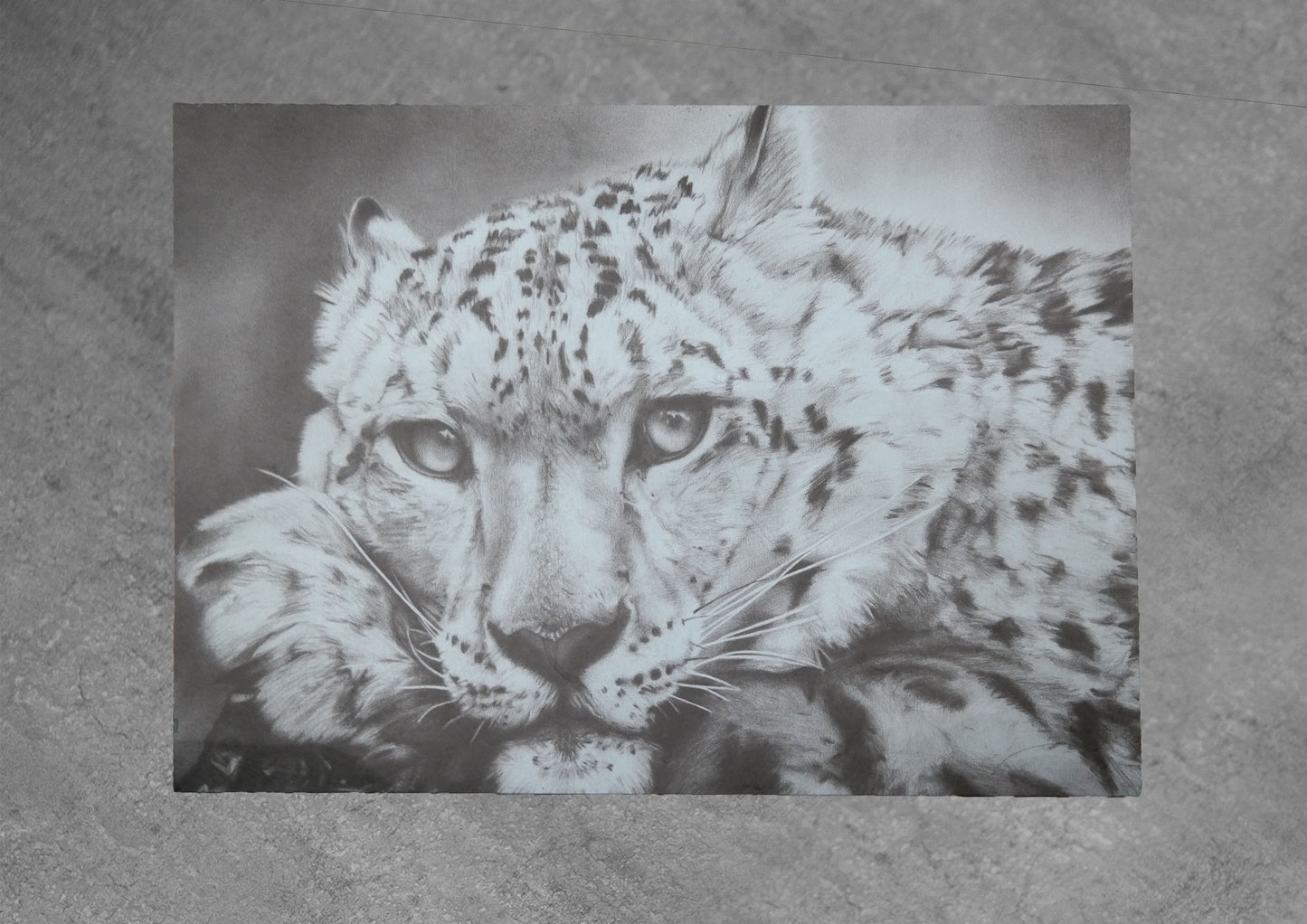 Emily Hinchcliffe - 'Snow Leopard' Slate Coffee Table