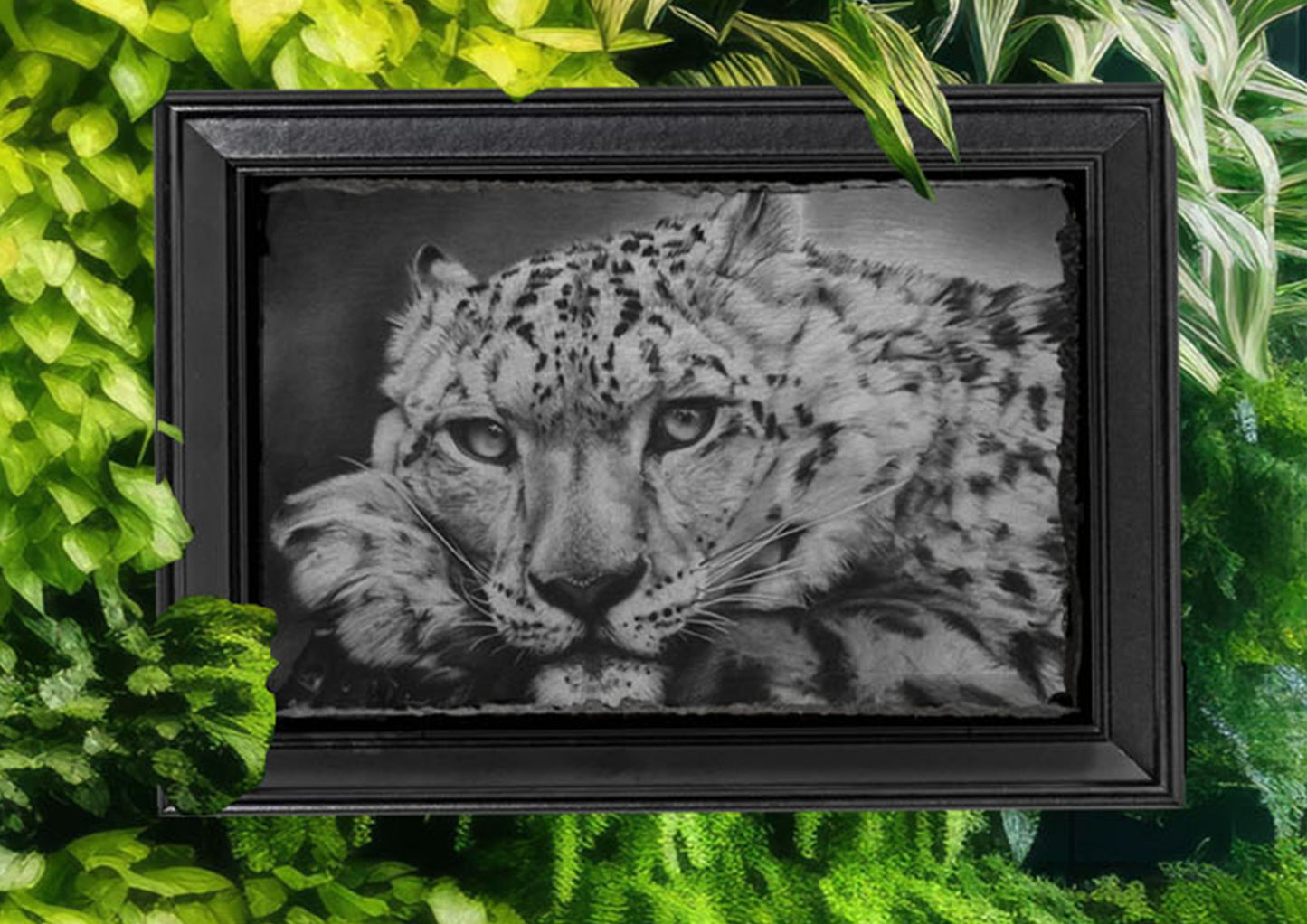 Emily Hinchcliffe - 'Snow Leopard' Slate Wall Art