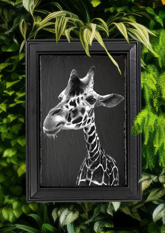 Emily Hinchcliffe - 'Giraffe (Version 2)' Slate Wall Art