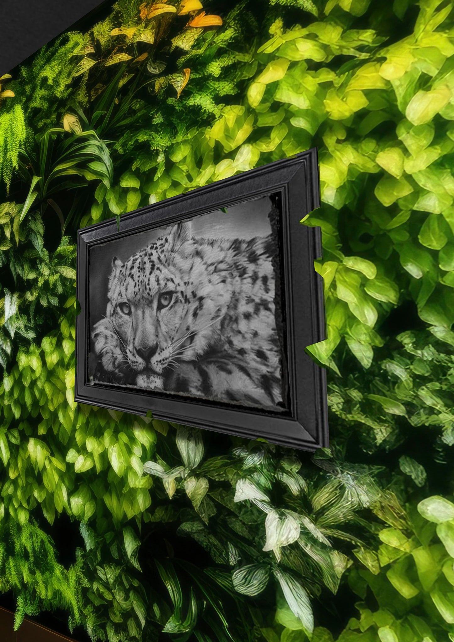 Emily Hinchcliffe - 'Snow Leopard' Slate Wall Art