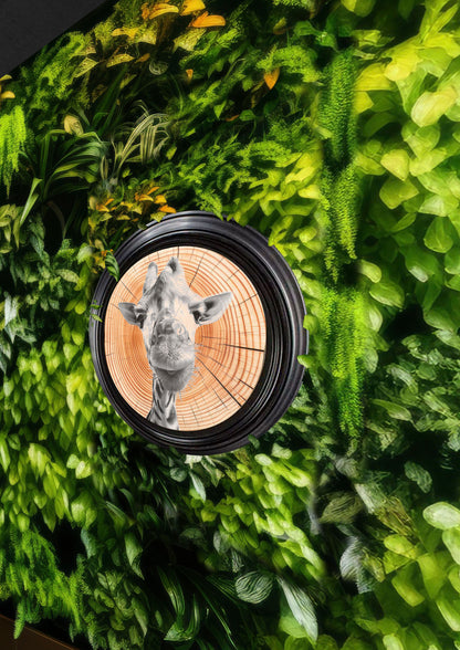 Emily Hinchcliffe - 'Giraffe (Version 1)' Tree Ring Wall Art