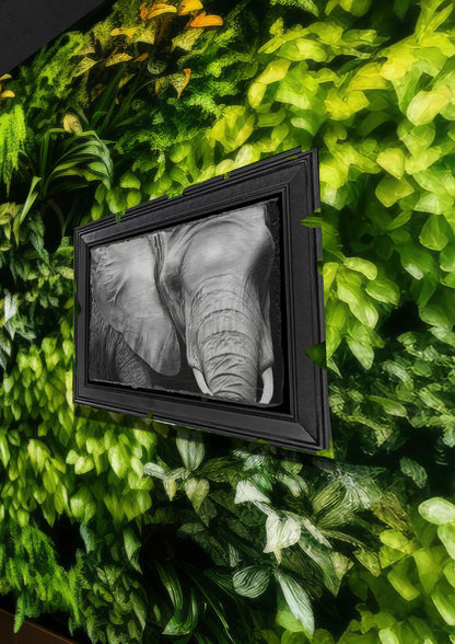 Emily Hinchcliffe - 'Elephant' Slate Wall Art