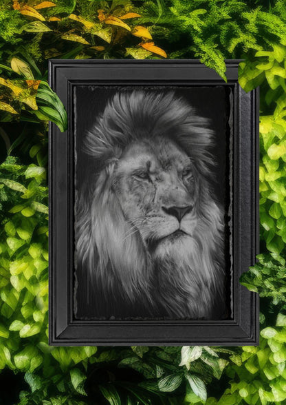 Emily Hinchcliffe - 'Lion' Slate Wall Art