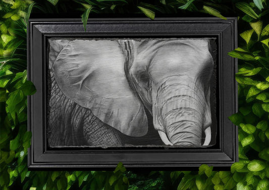Emily Hinchcliffe - 'Elephant' Slate Wall Art