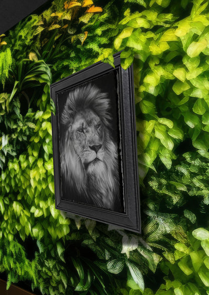 Emily Hinchcliffe - 'Lion' Slate Wall Art